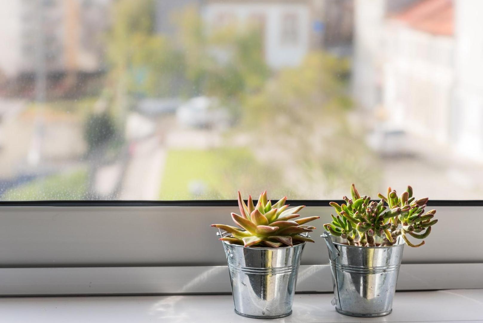 Guestready - Assuntos De Recreio Lägenhet OOporto Exteriör bild